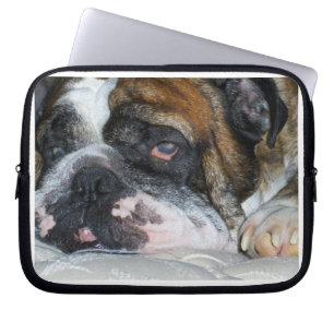 Funda Para Portátil Bulldog inglés