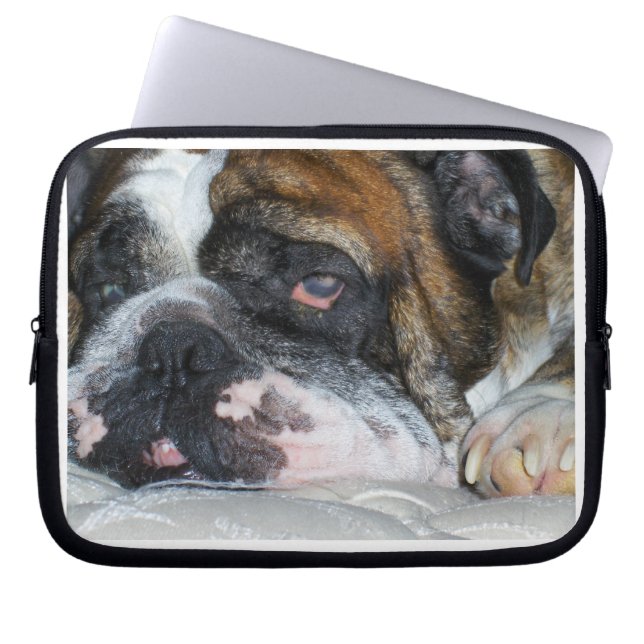 Funda Para Portátil Bulldog inglés (Frente)
