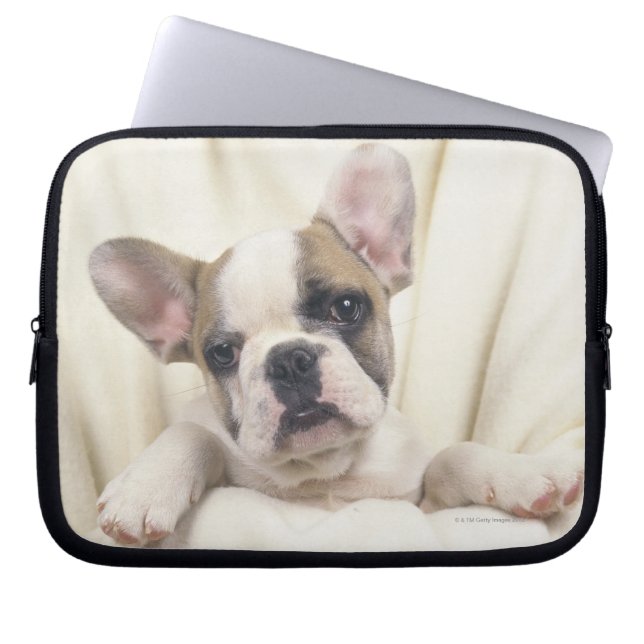 Funda Para Portátil Bulldog inglés (Frente)
