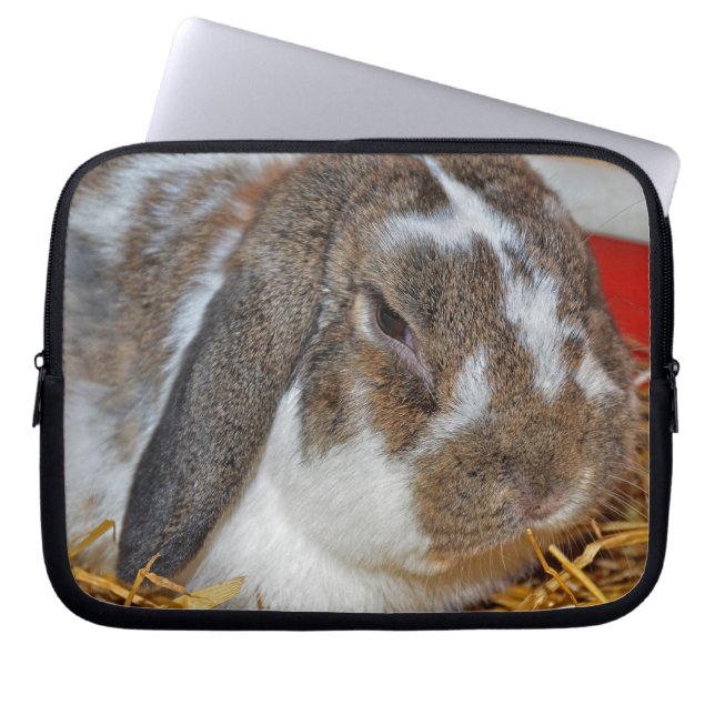 Funda Para Portátil Bunny de temática disquera (Frente)