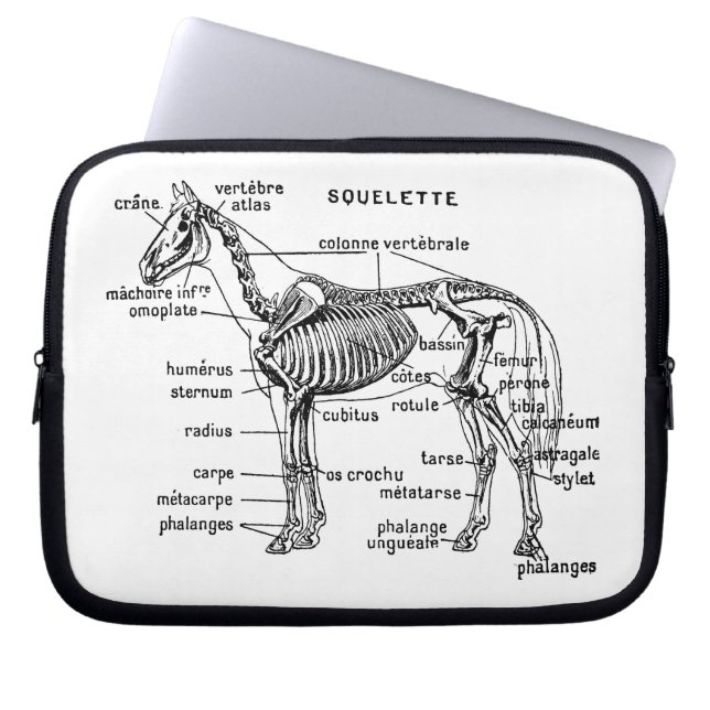 Funda Para Portátil Caballo (Frente)