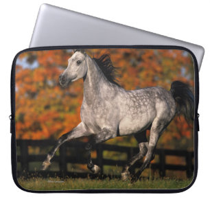 Funda Para Portátil Caballo árabe: Otoño 1