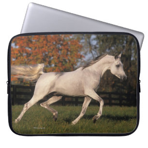 Funda Para Portátil Caballo árabe: Otoño 2