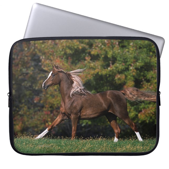 Funda Para Portátil Caballo árabe que corre en campo herboso (Frente)