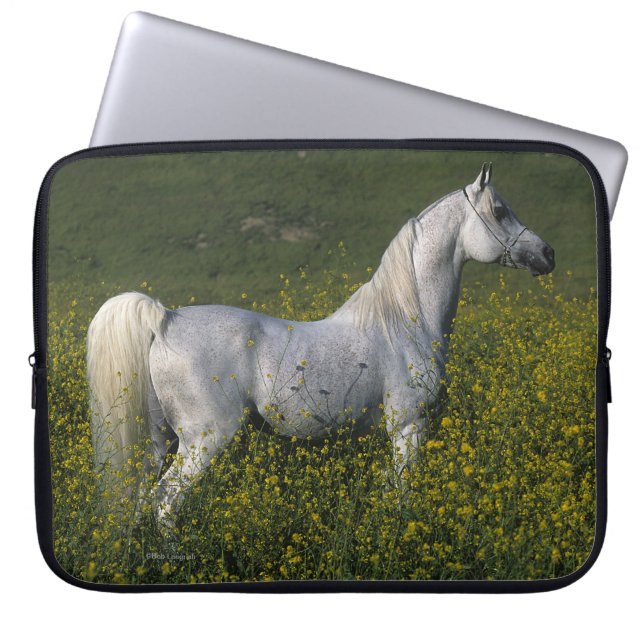 Funda Para Portátil Caballo árabe que se coloca en flores (Frente)