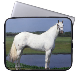 Funda Para Portátil Caballo del Appaloosa