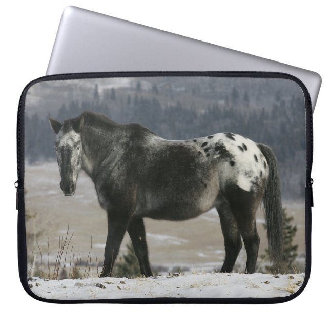 Funda Para Portátil Caballo del Appaloosa en la nieve (Frente)