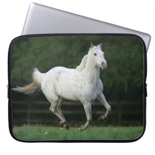 Funda Para Portátil Caballo del Appaloosa que corre 1