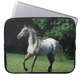Funda Para Portátil Caballo del Appaloosa que corre 2