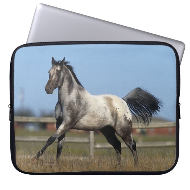 Funda Para Portátil Caballo del Appaloosa que corre 3 (Frente)