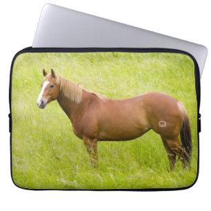 Funda Para Portátil Caballo en campo de primavera