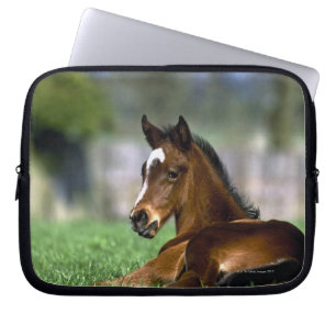 Funda Para Portátil Caballo excelente el   Irlanda