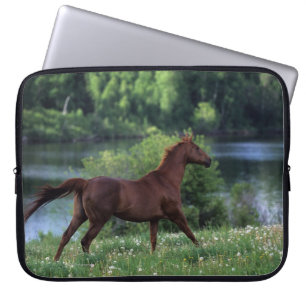 Funda Para Portátil Caballo excelente que se coloca en flores
