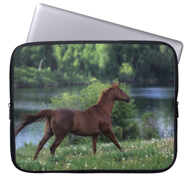 Funda Para Portátil Caballo excelente que se coloca en flores (Frente)