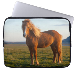 Funda Para Portátil Caballo islandés a la luz del atardecer