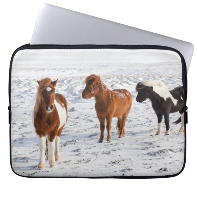 Funda Para Portátil Caballo islandés con Abrigo típico de invierno (Frente)