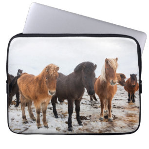 Funda Para Portátil Caballo islandés durante el invierno en Islandia