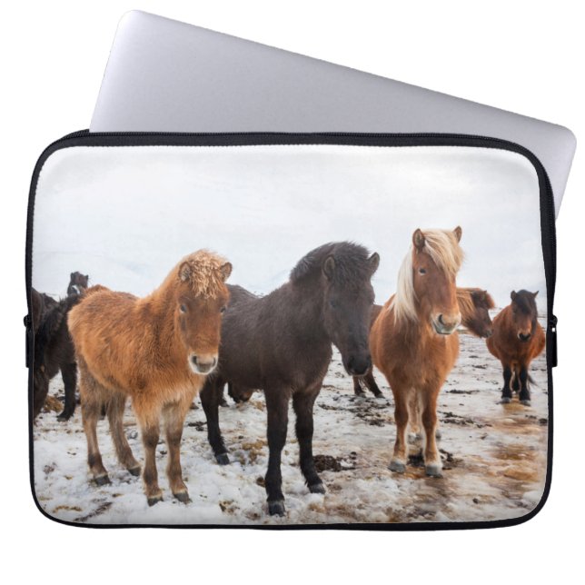 Funda Para Portátil Caballo islandés durante el invierno en Islandia (Frente)