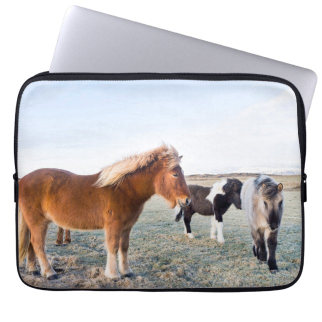 Funda Para Portátil Caballo islandés en invierno en Islandia (Frente)