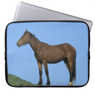Funda Para Portátil Caballo salvaje del mustango