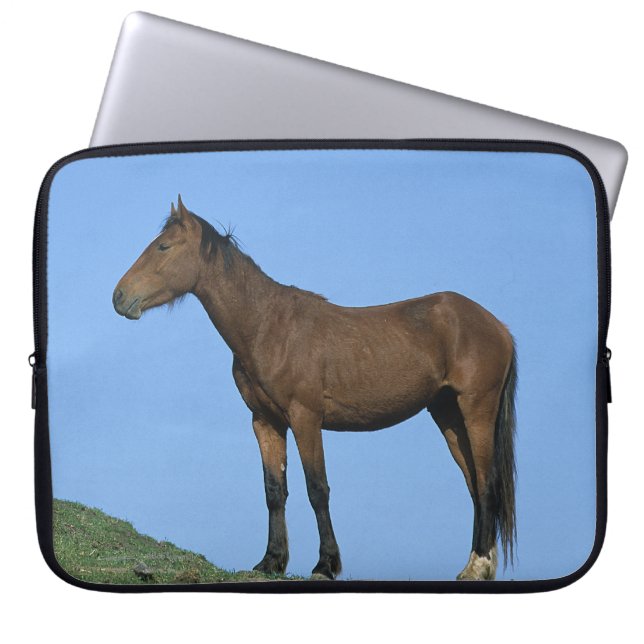Funda Para Portátil Caballo salvaje del mustango (Frente)