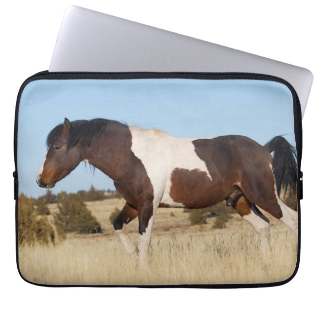 Funda Para Portátil Caballo salvaje, montañas Steens (Frente)