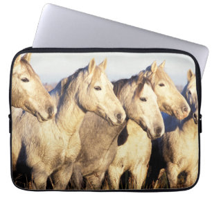 Funda Para Portátil Caballos Camargue (Eguus caballus)