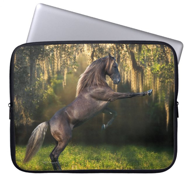 Funda Para Portátil Caballos de la fantasía: Príncipe del guerrero (Frente)