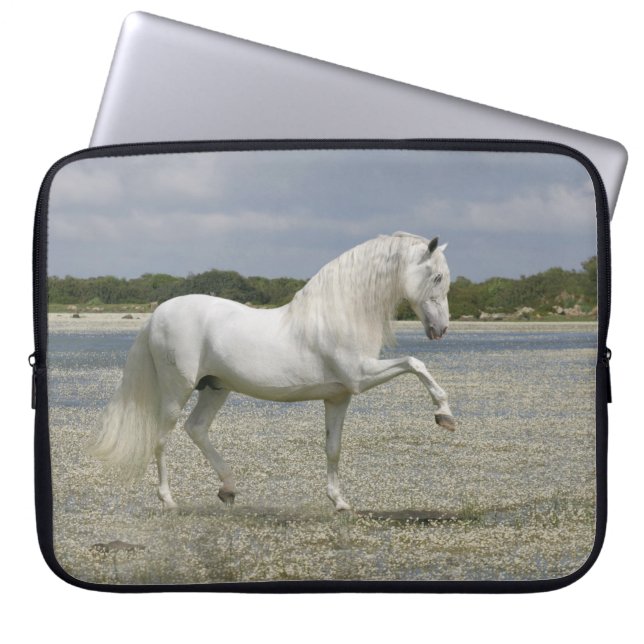 Funda Para Portátil Caballos de la fantasía: Señor del lago (Frente)