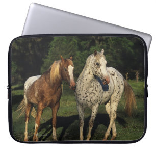 Funda Para Portátil Caballos del Appaloosa