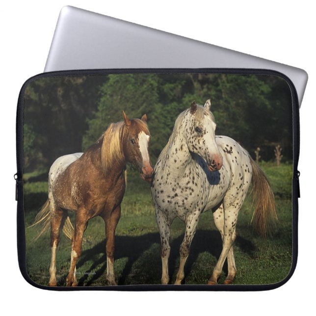 Funda Para Portátil Caballos del Appaloosa (Frente)