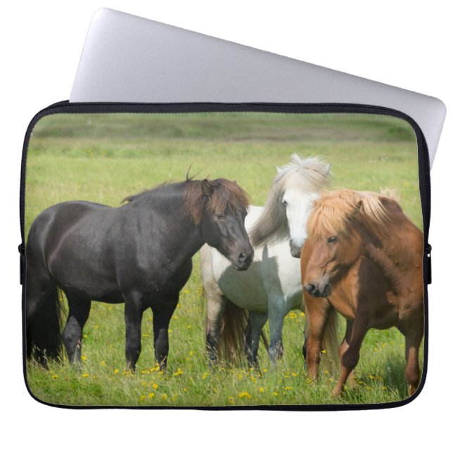 Funda Para Portátil Caballos en el Rancho, sur de Islandia (Frente)