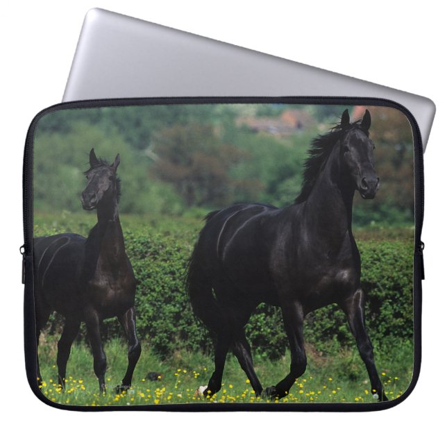 Funda Para Portátil Caballos excelentes en campo de flor (Frente)