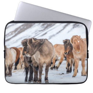 Funda Para Portátil Caballos islandeses en pastizales de invierno cerc