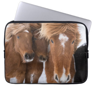 Funda Para Portátil Caballos islandeses se arriman, Islandia