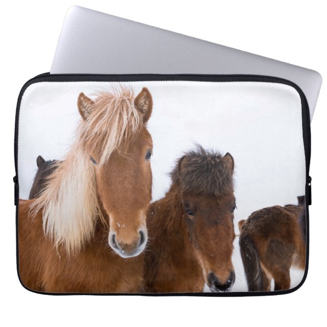 Funda Para Portátil Caballos islandeses unidos (Frente)