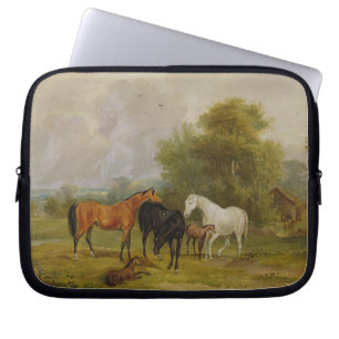 Funda Para Portátil Caballos que pastan: Yeguas y potros en un campo