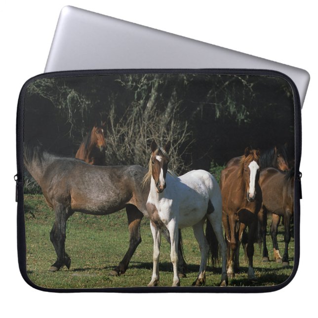 Funda Para Portátil Caballos salvajes 1 del mustango (Frente)