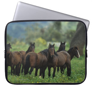 Funda Para Portátil Caballos salvajes 3 del mustango