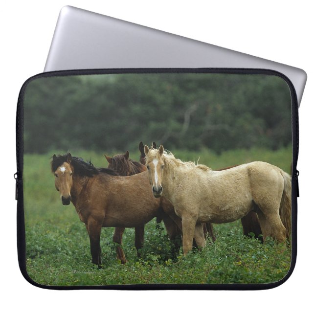 Funda Para Portátil Caballos salvajes 4 del mustango (Frente)