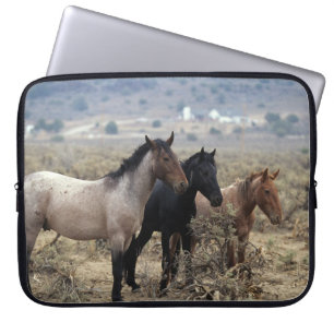 Funda Para Portátil Caballos salvajes 5 del mustango