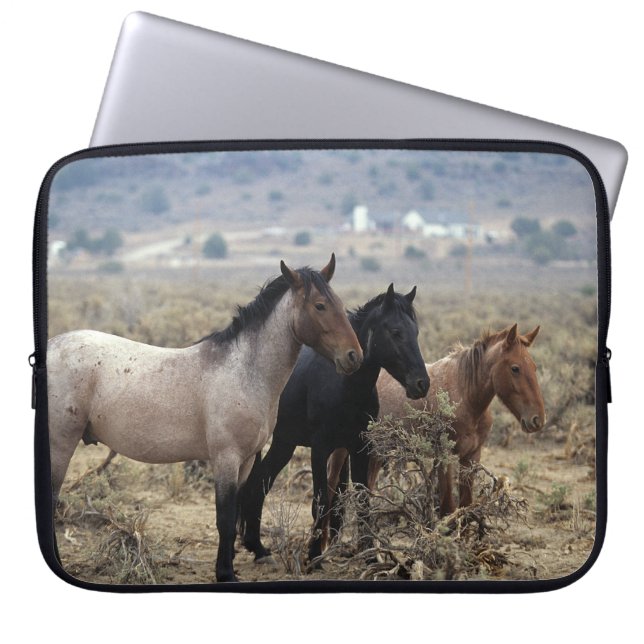 Funda Para Portátil Caballos salvajes 5 del mustango (Frente)