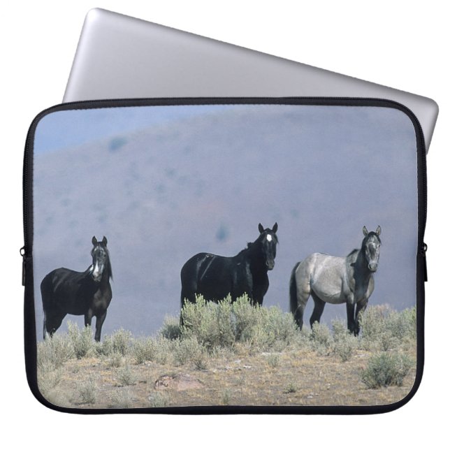 Funda Para Portátil Caballos salvajes del mustango en el desierto 3 (Frente)