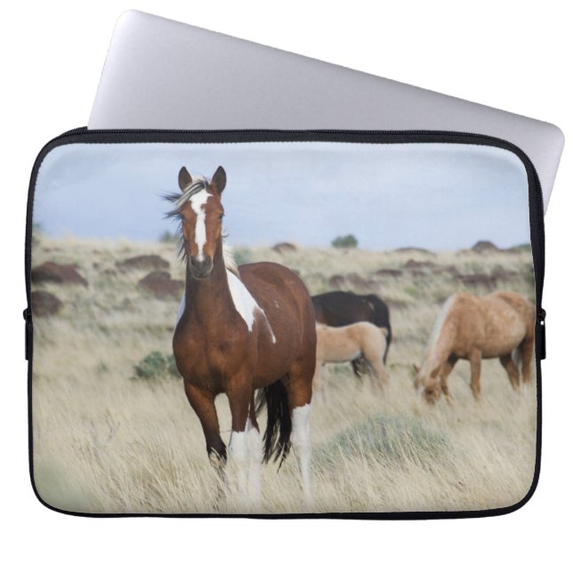 Funda Para Portátil Caballos salvajes, montañas de Steens (Frente)
