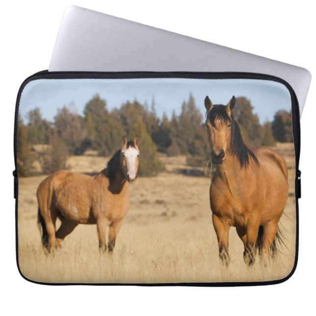 Funda Para Portátil Caballos salvajes, montañas de Steens (Frente)
