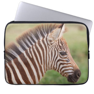 Funda Para Portátil Cabeza de cebra bebé, Tanzania