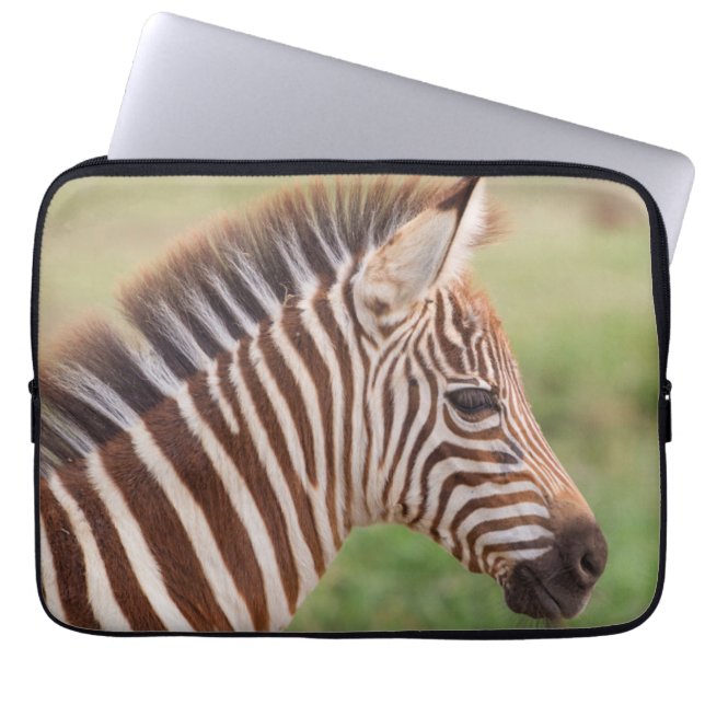 Funda Para Portátil Cabeza de cebra bebé, Tanzania (Frente)