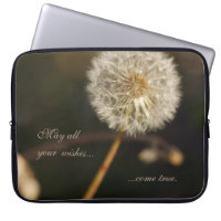Cabeza de semilla de Dandelion en tonos marrones