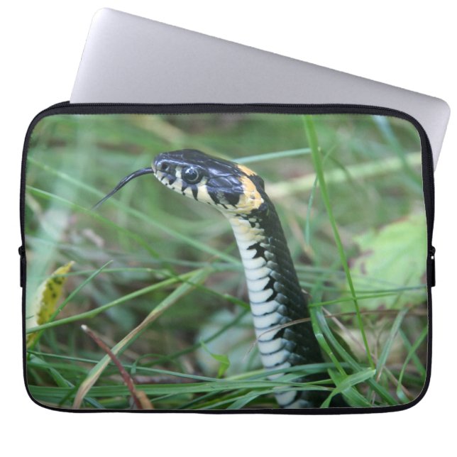 Funda Para Portátil Cabeza de serpiente (Frente)