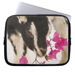 Funda Para Portátil Cabra alpina británica domesticada (niño). Negro